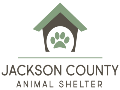 JC_AnimalShelter_web JC_AnimalShelter_web