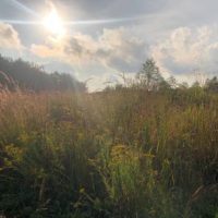 lostcreekwetlands lostcreekwetlands